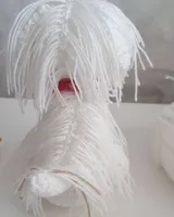 Amigurumi de bichón maltés blanco visto de lado, con el pelo largo tejido a mechones